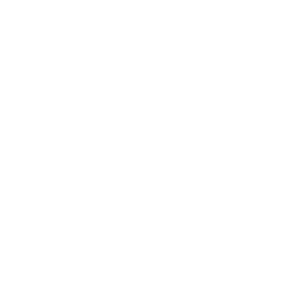 brisbane city council tour